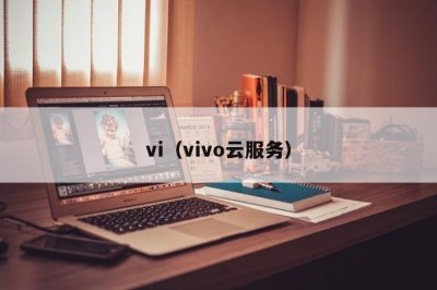 ​vi（vivo云服务）