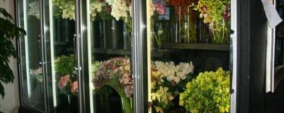 ​鲜花保鲜冷藏柜多少度 鲜花保鲜冷藏柜怎么用