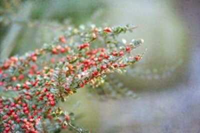 ​过了40岁的女人，会喜欢怎样的男人？五个中年女人的现实想法