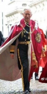 ​世界顶级黑客出手，20年谜案水落石出，戴安娜王妃真实死因曝光