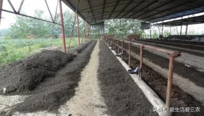 养殖蚯蚓每亩地年入几万很正常,比种地或者打工强!这个不是骗局