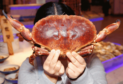 ​对不起，你被骗了这么多年才告诉你！你吃的面包蟹都不是新鲜的