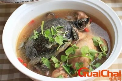 ​甲鱼汤怎么做好喝又营养老人和小孩能喝？清炖甲鱼汤怎么做好喝又营养