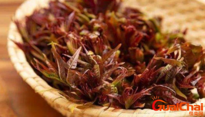 ​香椿有毒吗会吃死人吗？香椿如何安全食用?