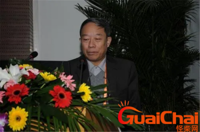 ​沈冰个人简历-关于沈冰的介绍