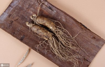 ​闻名世界的东北新四宝，你知道都是什么吗？