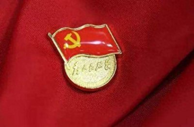 ​党员徽章、法徽的佩戴姿势应该是哪样的？