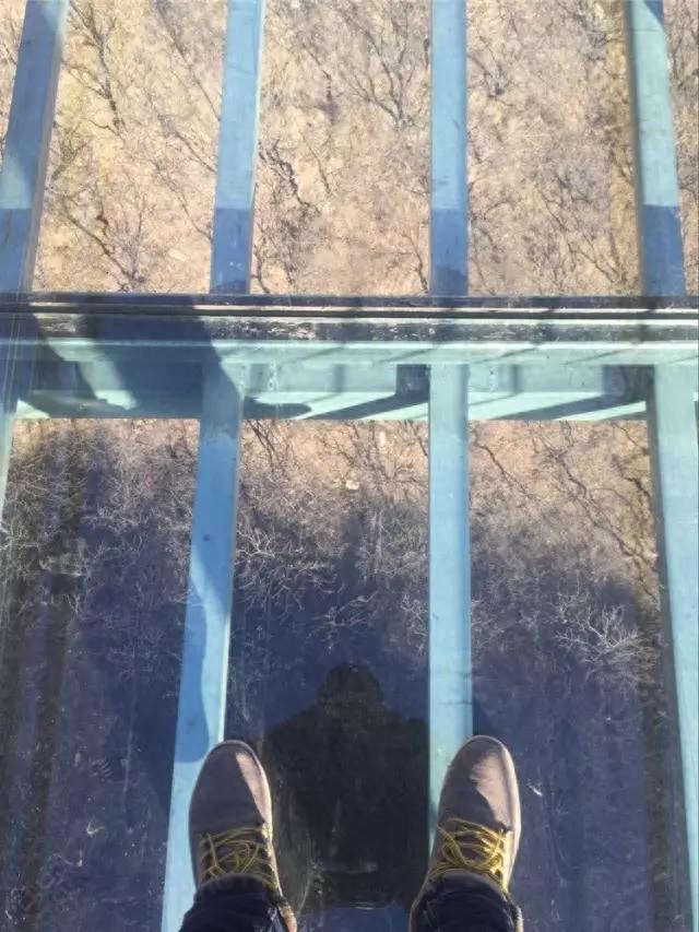 150块玻璃,离地360米,投资3000多万,中原第一悬崖玻璃廊桥亮相