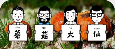 ​细数楚雄州的各种景区景点（上）