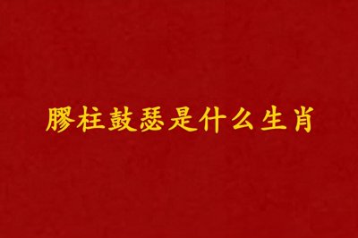 ​膠柱鼓瑟是什么生肖（膠柱鼓瑟打一生肖）