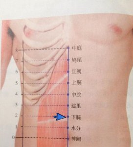 ​每日一穴-下脘穴