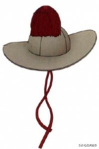 ​话说“范阳毡笠儿”