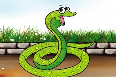 ​农村老人说世上有千年巨蟒，真的吗？那蛇的寿命有多长？