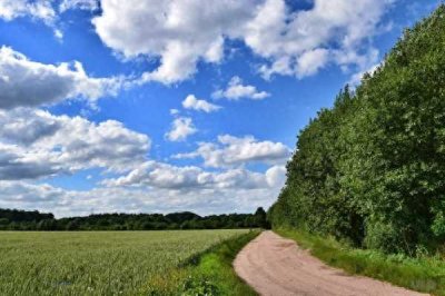 ​励志语句(深入心灵的二十个励志句子)