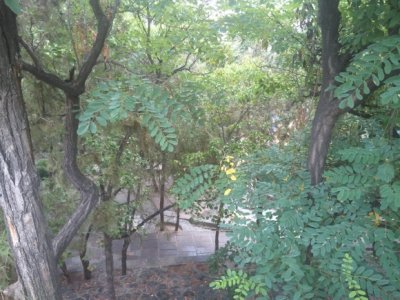 ​郑州紫荆山，你知道它的由来吗