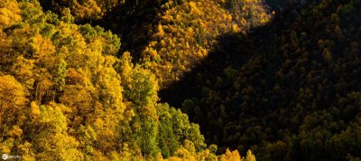 ​中国海北藏族自治州行政区划情况