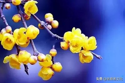 ​肖姓是我国大姓，《百家姓》中为何只有萧姓而没有肖姓？