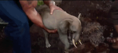 火山爆发电影灾难片有哪些（高分灾难电影推荐 ）-