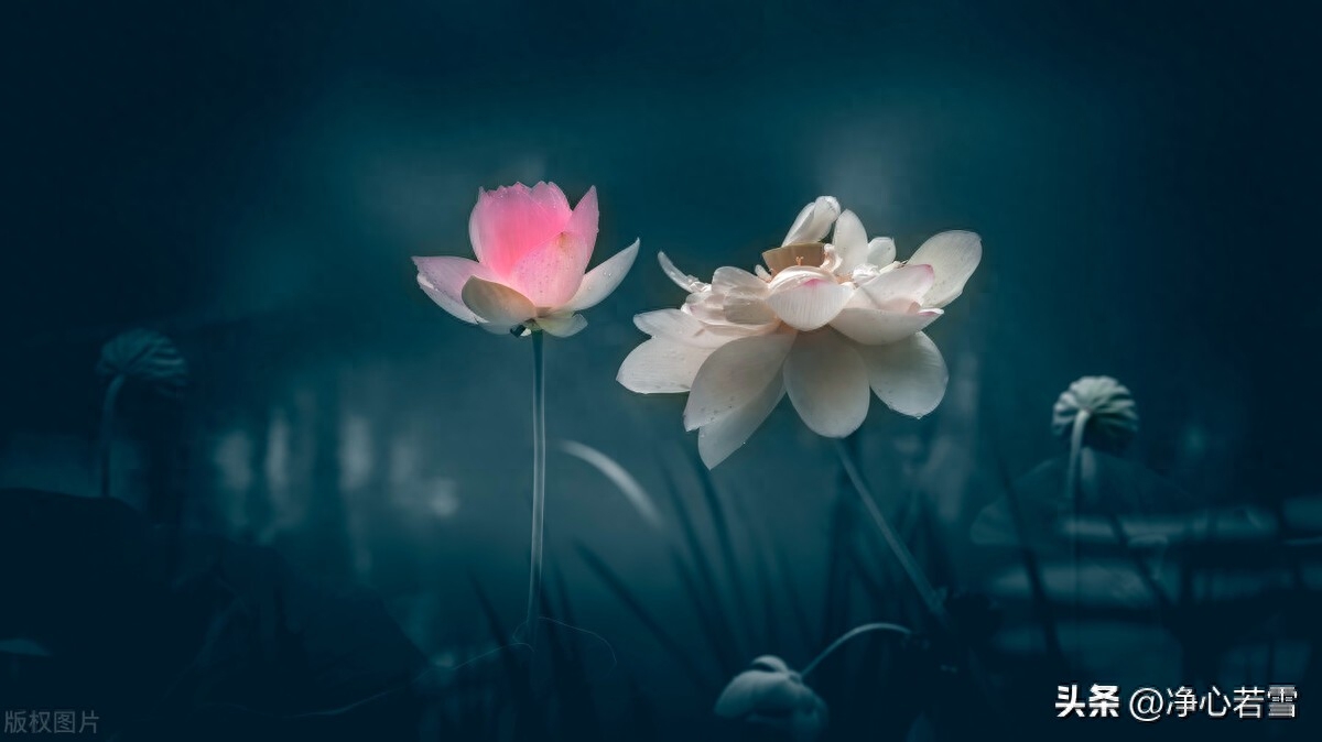 弘一法师一生简介(送别作者李叔同个人资料及代表作品)-