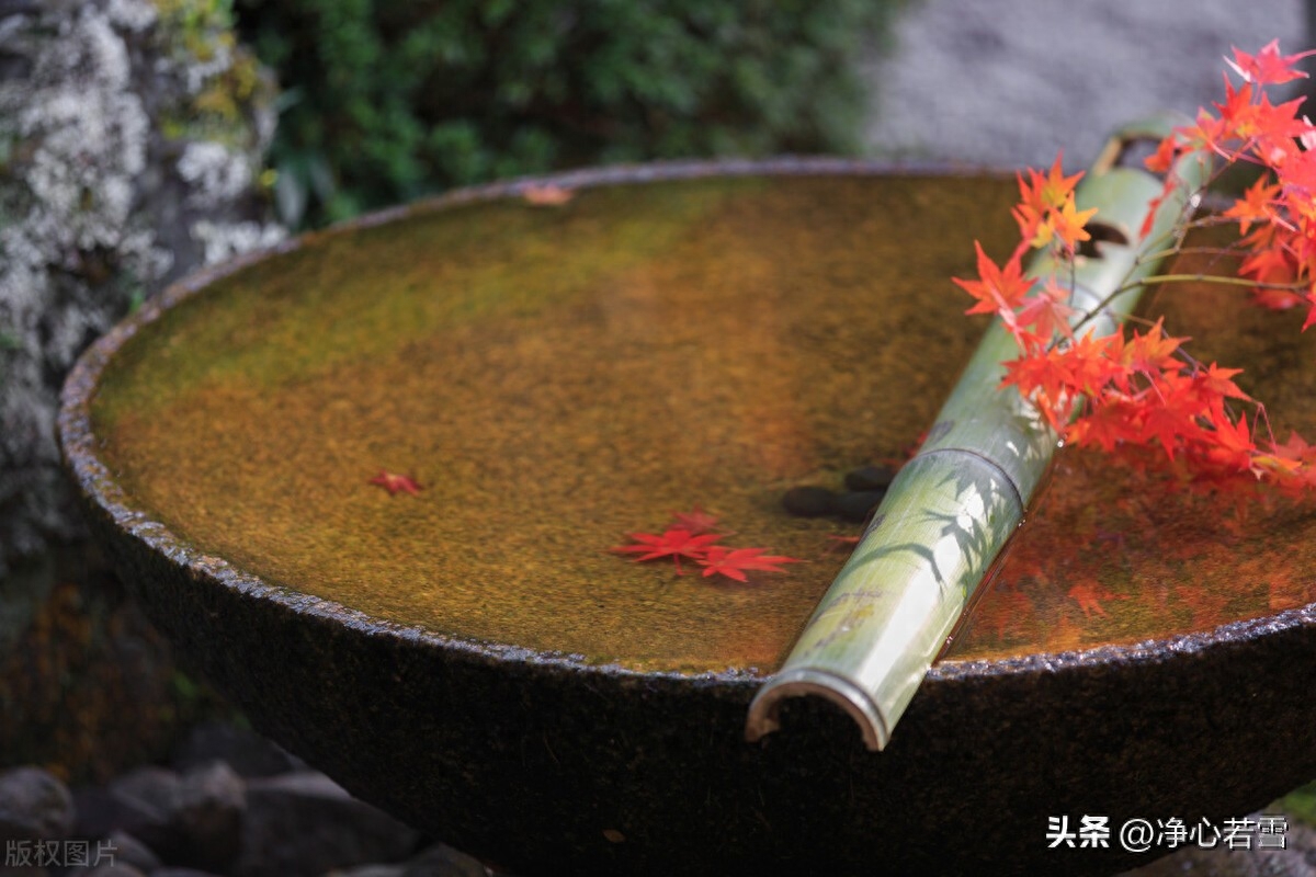 弘一法师一生简介(送别作者李叔同个人资料及代表作品)-