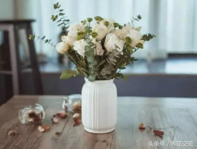 ​买回的鲜花怎么保鲜？教你两招，花朵摘下也能保存几周时间