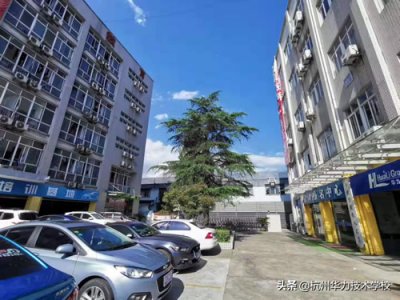 ​电脑花屏怎么办最简单的方法(电脑花屏原因以及解决方法)