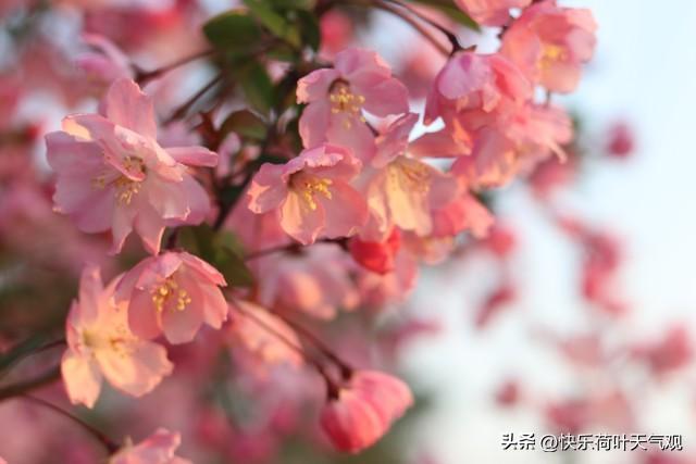 立春躲春时间和方法(如何躲春)-