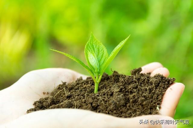 立春躲春时间和方法(如何躲春)-