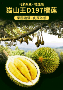 ​青尼榴莲怎么样算熟了（青尼榴莲怎样才算熟）