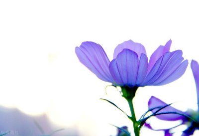 ​出国准备什么（出国必备物品指南（非常实用））