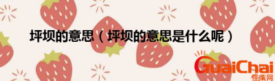 ​坪坝意思是什么？坪坝的拼音怎么写？