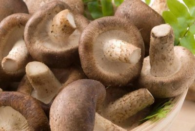 ​新鲜香菇买回来怎么处理？这样做十分干净有效