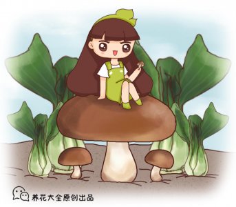 ​草莓种植需要注意什么 开花多结果少，自己种草莓，还需要注意这三点