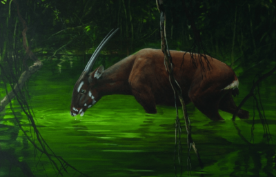 ​亚洲麒麟是什么动物 亚洲麒麟还存在吗