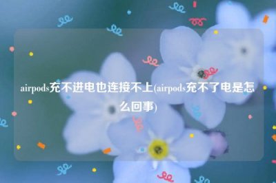 ​airpods充不进电也连接不上(airpods充不了电是怎么回事)