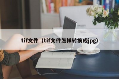 ​tif文件（tif文件怎样转换成jpg）