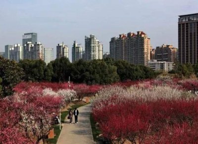 ​春节旅游去哪里（春节旅游去哪里玩）