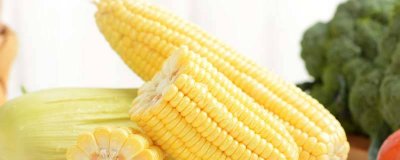 ​玉米一般煮多长时间 玉米一般煮多长时间才熟