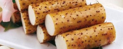 ​毛山药与脆山药的区别是什么 毛山药与脆山药的区别图片