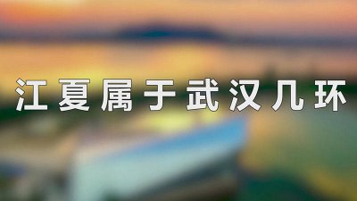 ​武汉江夏区有什么路 武汉江夏区范围