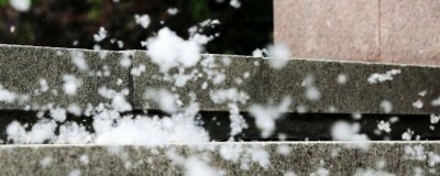 ​如何清理纱窗上的灰尘 窗纱柳絮怎么清理