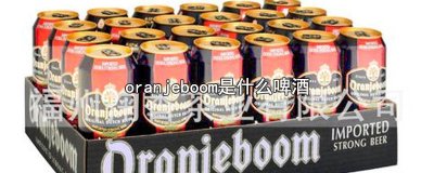 ​oramjeboom 荷兰烈性啤酒 德国高度啤酒oranjeboom烈性啤酒