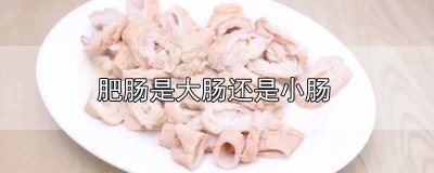 ​肥肠跟小肠的区别 肥肠和大肠有啥区别