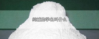 ​纯碱的别名是什么 纯碱的化学名叫什么