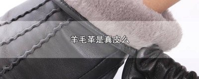 ​羊皮革是革还是真皮的 羊皮革是真皮还是革