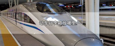 ​动车哪个位置好放行李 坐动车带多大的行李箱合适