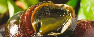 ​皮蛋是否变质 皮蛋会过期吗?