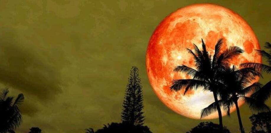血月是怎么形成的 佛教血月的故事代表什么