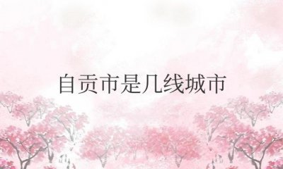 ​自贡市是几线城市（四川自贡市简介）