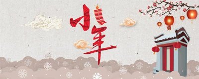 小年什么意思啊